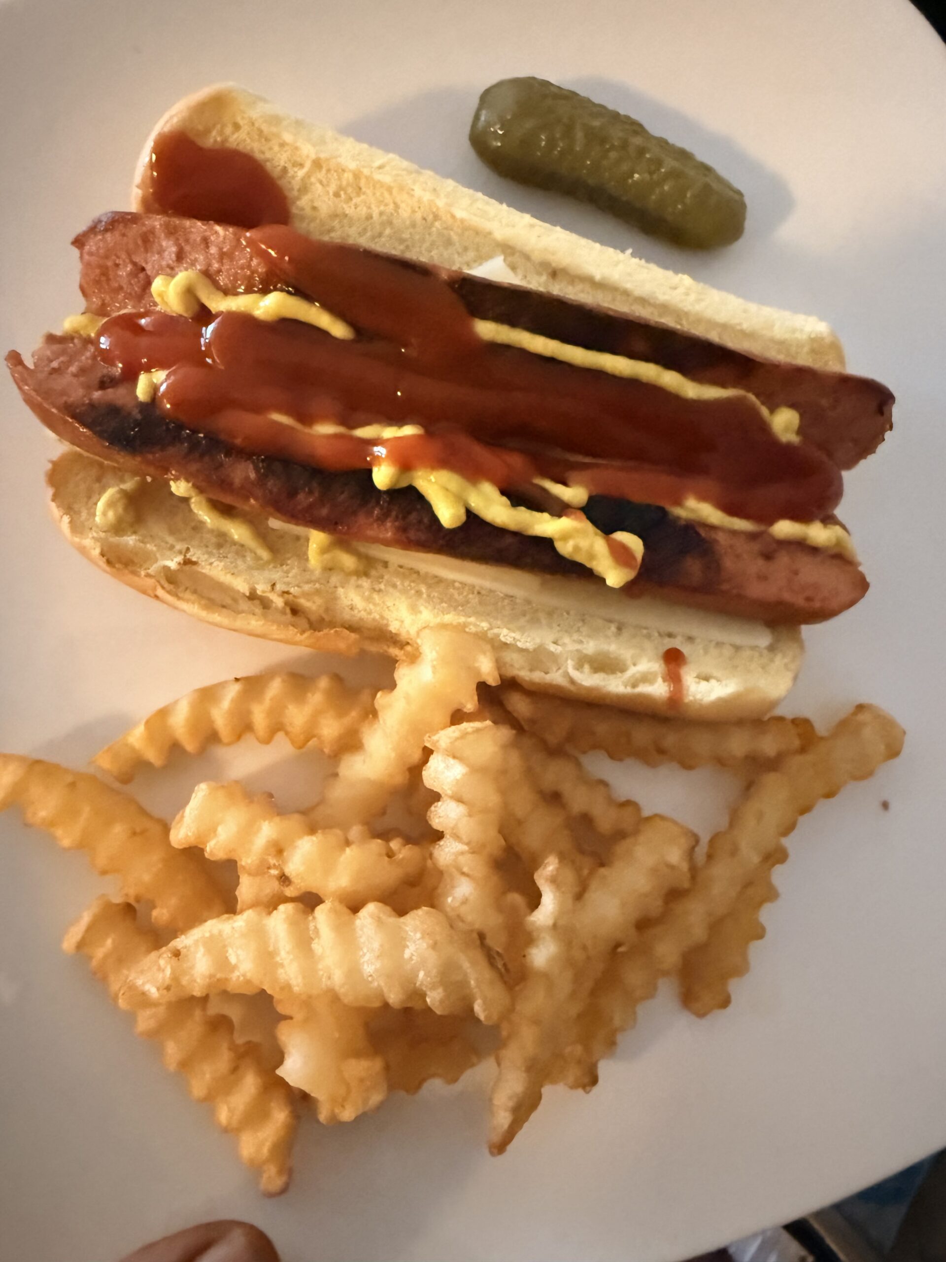 Hot dog with chips